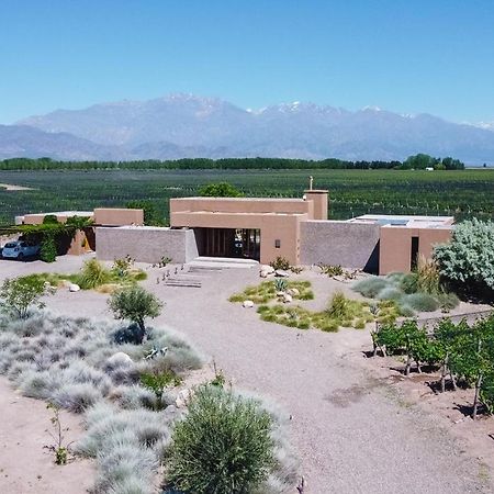 Casa Crux - Bodega Alfa Crux Villa Eugenio Bustos Dış mekan fotoğraf