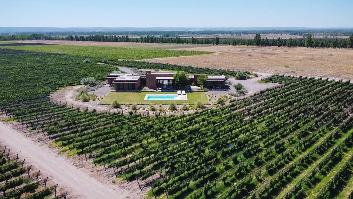 Casa Crux - Bodega Alfa Crux Villa Eugenio Bustos Dış mekan fotoğraf